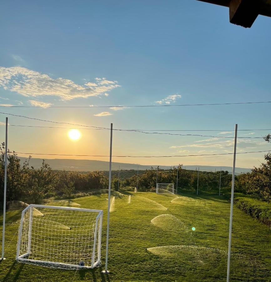 Wineyards Salin Acomodação com café da manhã Turda Exterior foto