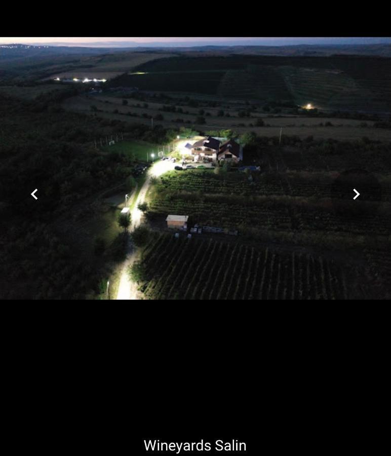 Wineyards Salin Acomodação com café da manhã Turda Exterior foto