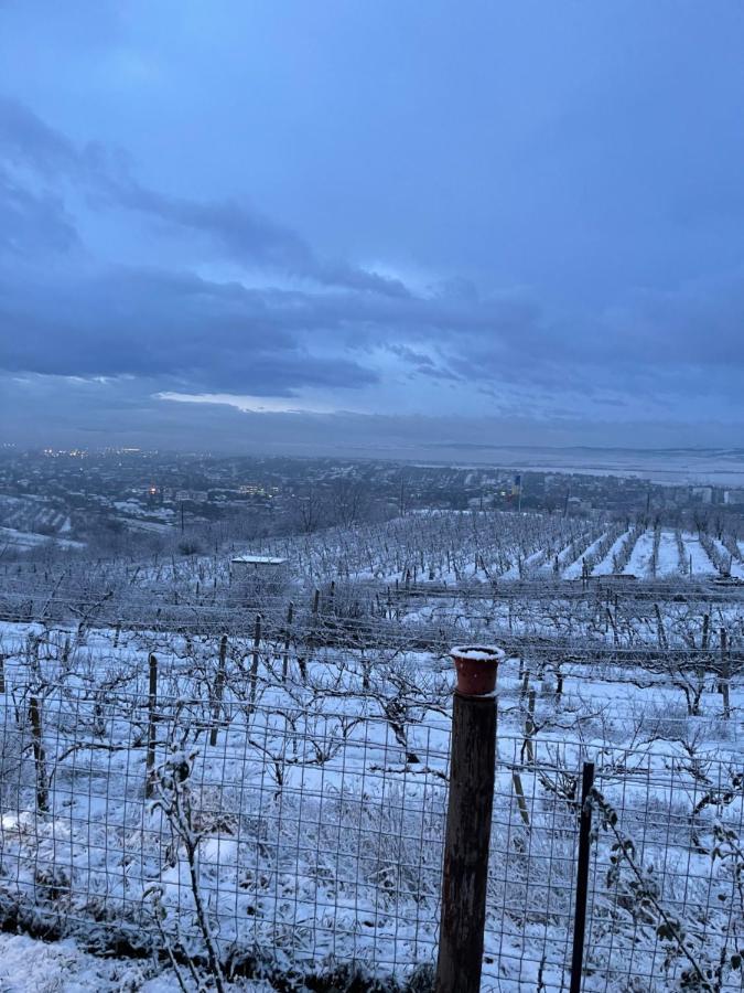 Wineyards Salin Acomodação com café da manhã Turda Exterior foto